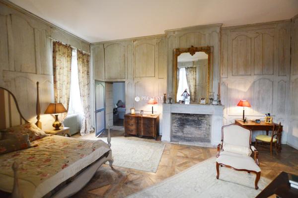 45 minutes de Bergerac – 1h30 de Bordeaux – Superbe château 17e en Périgord Vert., RIBERAC