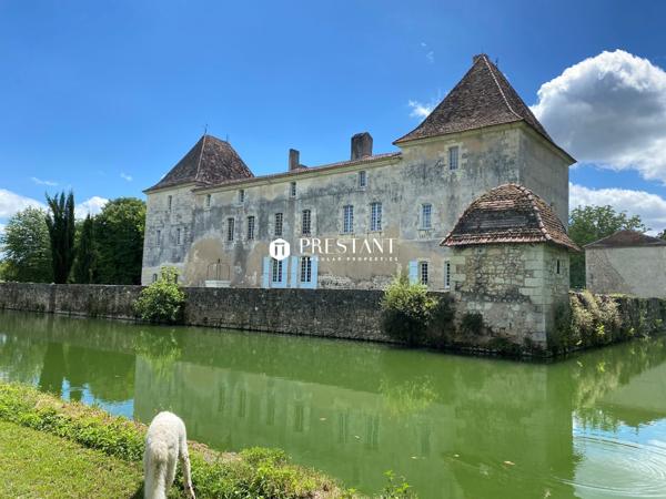 45 minutes de Bergerac – 1h30 de Bordeaux – Superbe château 17e en Périgord Vert., RIBERAC