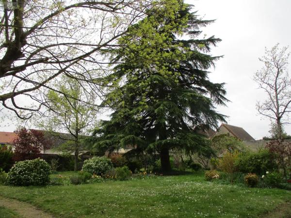 Achat - Maison Chabris 36210 8 pièces 205 m 2 1533 m 2