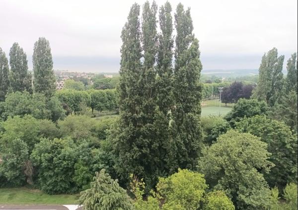 Vente / Appartement T3 à Auxerre (89000)