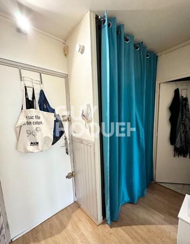 Appartement Oullins 1 pièce 28 m2