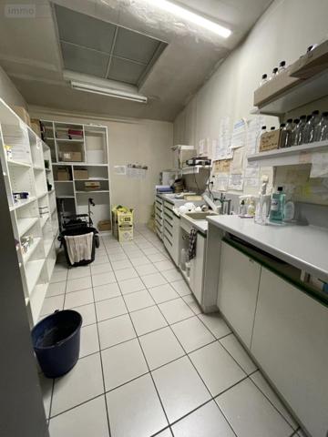 Fonds et/ou murs commerciaux à vendre à Locminé dans le Morbihan (56500), ref : 56076-1280