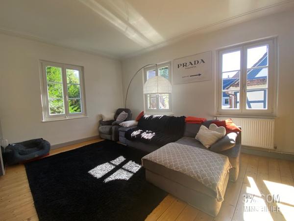 3%.COM Magnifique LOFT de 223m² au centre de Brumath Brumath (67170)