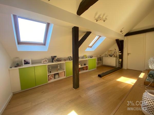 3%.COM Magnifique LOFT de 223m² au centre de Brumath Brumath (67170)