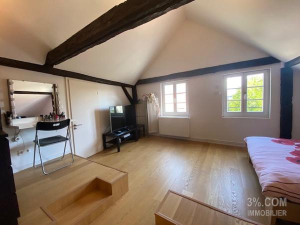 3%.COM Magnifique LOFT de 223m² au centre de Brumath Brumath (67170)