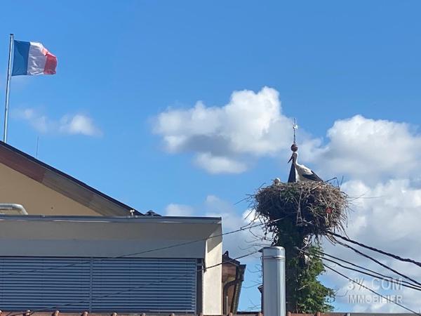 3%.COM Magnifique LOFT de 223m² au centre de Brumath Brumath (67170)