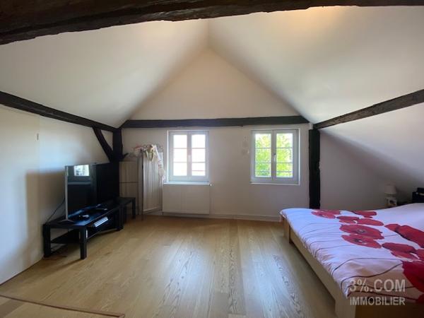 3%.COM Magnifique LOFT de 223m² au centre de Brumath Brumath (67170)