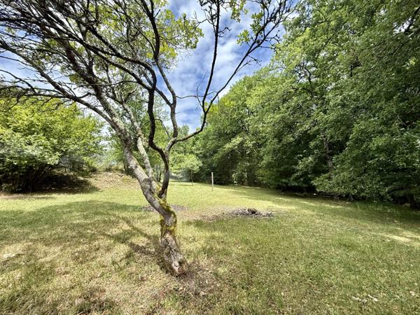 Ensemble immobilier sur 1.8 hectares