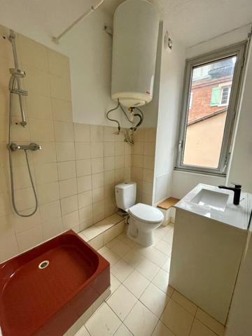 Appartement Toulouse 1 pièce(s)