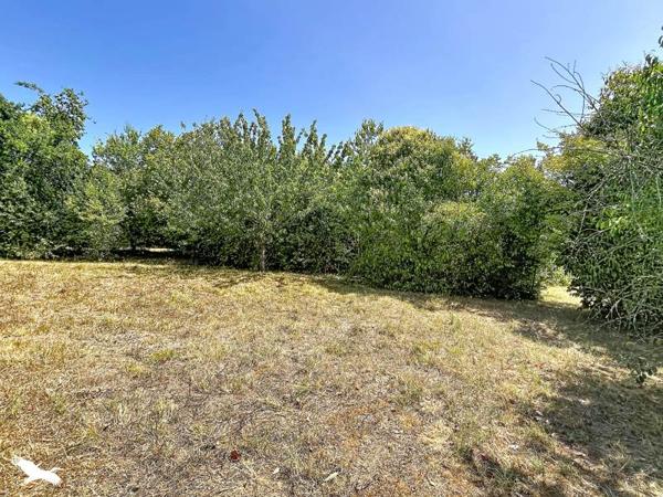 Maison à vendre 286 740 € Saint-Martin-Lacaussade 7 p 194 m² DPE C