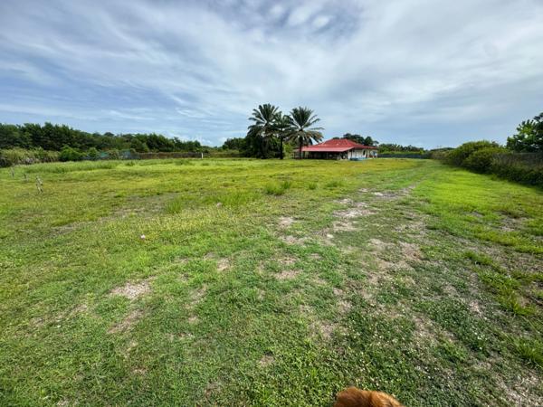 Exceptionnelle Maison a rénover sur une parcelle de 5000 m2 bord de RN1 Macouria