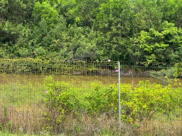 Exceptionnelle Maison a rénover sur une parcelle de 5000 m2 bord de RN1 Macouria
