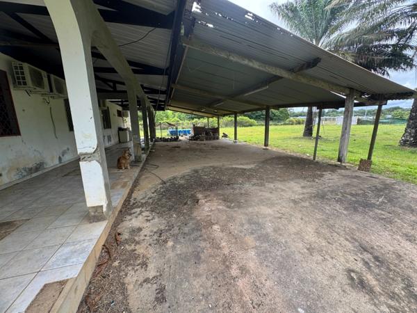 Exceptionnelle Maison a rénover sur une parcelle de 5000 m2 bord de RN1 Macouria