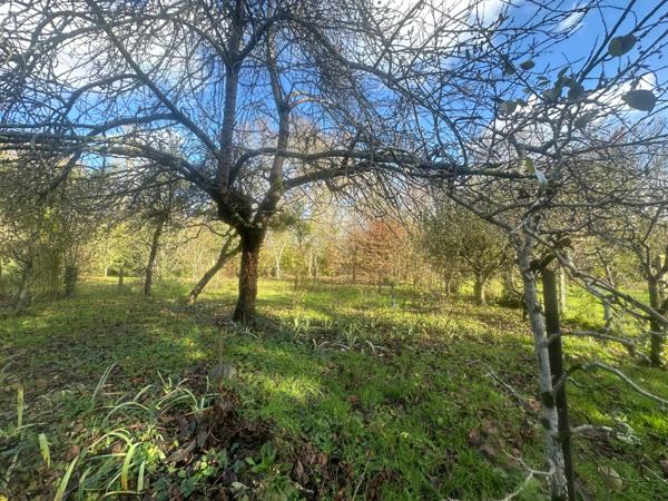Maison à vendre à Saumur 3 chambres, jardin clos