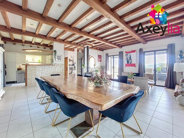 Renaison (42370) A VENDRE - RENAISON - MAISON, 4 CHAMBRES VUE EXCEPTIONNELLE