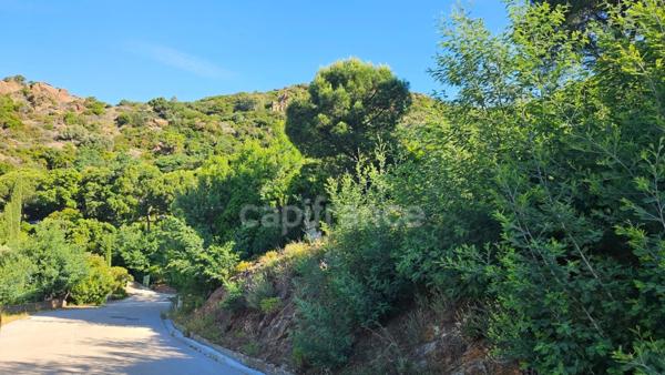 Terrain à vendre de 1 300,00 m² CAVALIERE (83) avec permis purgé