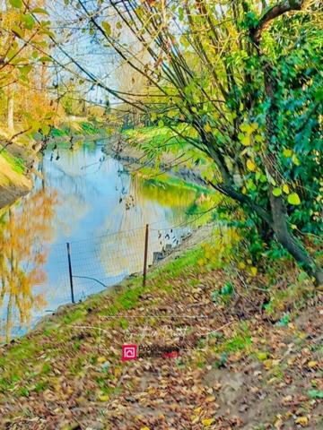 Terrain de loisirs 200m2 avec cabane aménagée