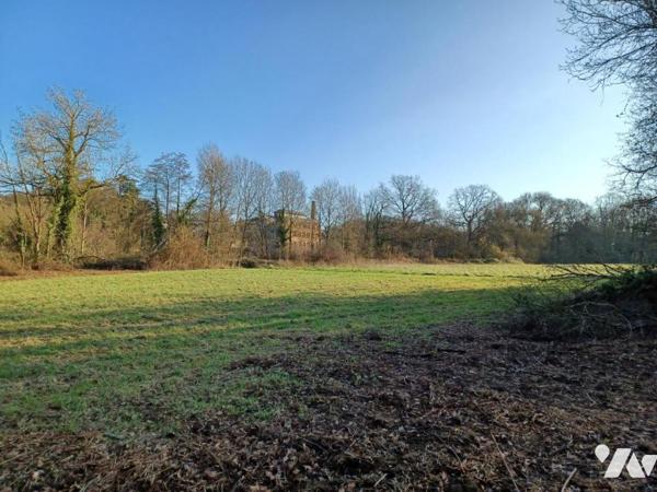 Terrain / pré en bord de Sèvre
