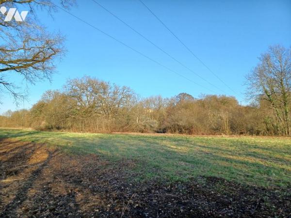 Terrain / pré en bord de Sèvre