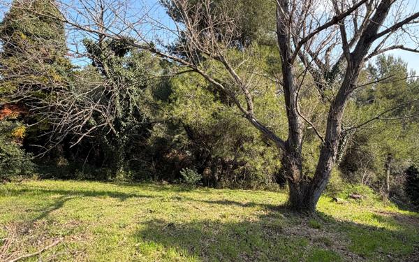 Terrain à vendre    Aramon