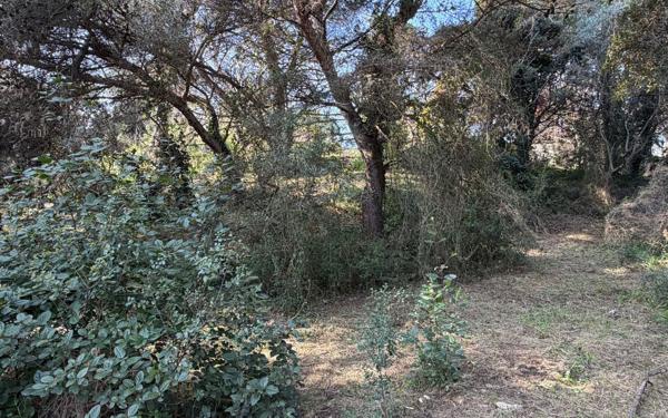 Terrain à vendre    Aramon