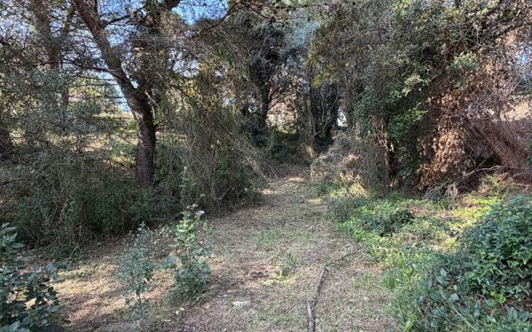 Terrain à vendre    Aramon