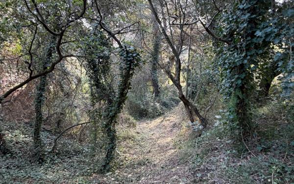 Terrain à vendre    Aramon