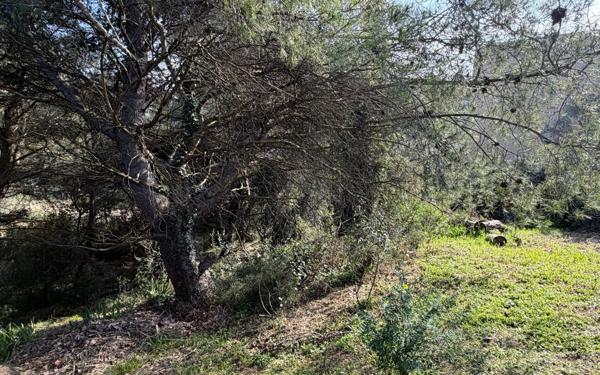 Terrain à vendre    Aramon