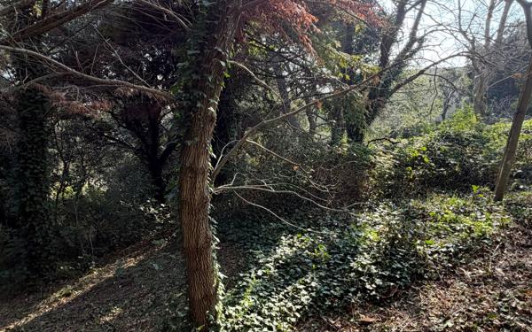 Terrain à vendre    Aramon