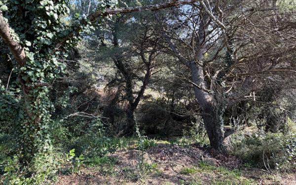 Terrain à vendre    Aramon