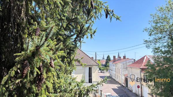 Belle maison bourgeoise avec terrain arboré 1205m2