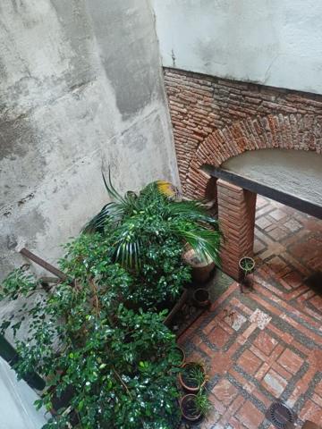 Perpignan centre - Appartement type loft de 2 pièces dans ancien couvent