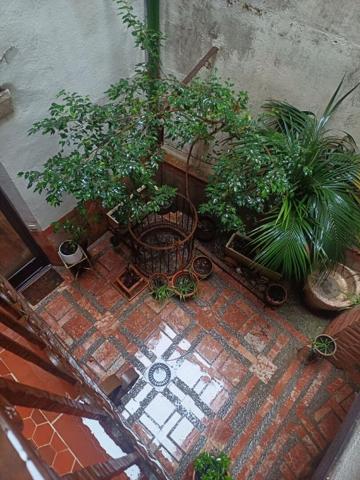 Perpignan centre - Appartement type loft de 2 pièces dans ancien couvent