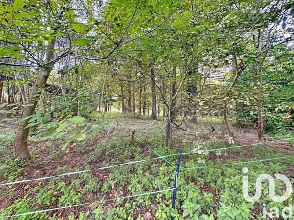 Maison à vendre 15 pièces 313 m² Orthez