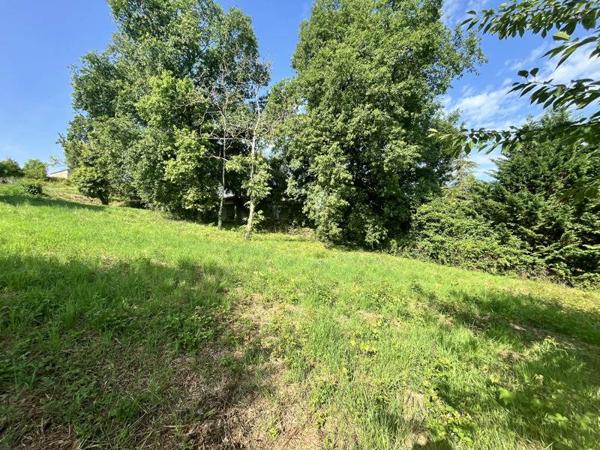 Terrain à vendre |  Auvillar |  1189 m²