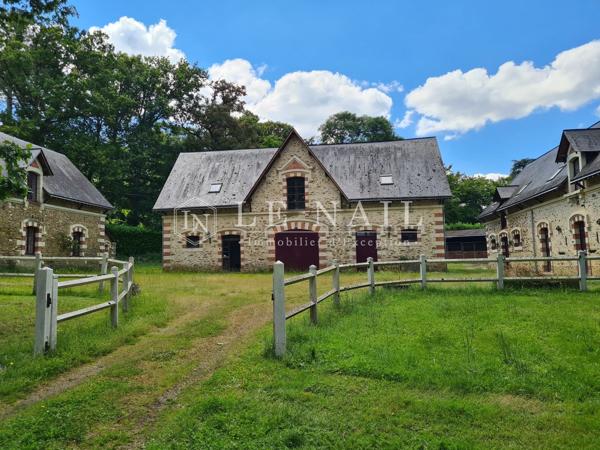 Beau château à vendre en Haut-Anjou.