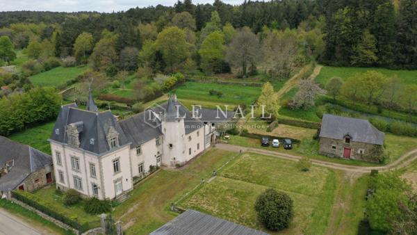 Beau château dans un environnement privilégié à 30 minutes de Vannes.