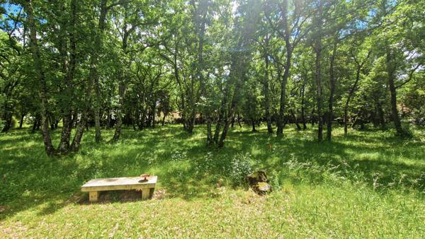 Saint-Siffret (30700) A vendre à Saint-siffret, beau terrain à bâtir viabilisé au coeur d'une chênaie.