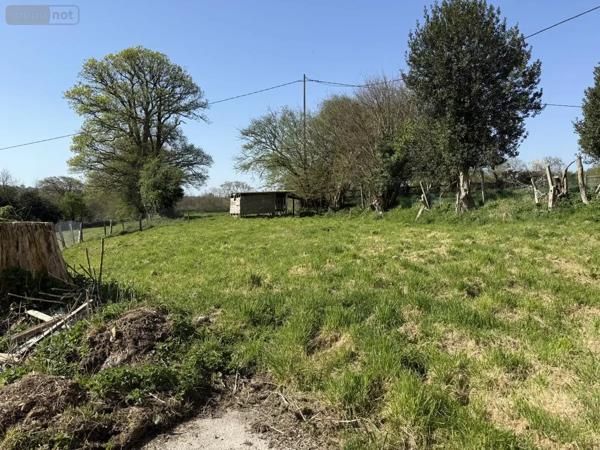 Achat - Maison Sideville 50690 6 pièces 107 m 2 1868 m 2