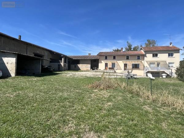 Achat - Maison Villieu-Loyes-Mollon 01800 11 pièces 229 m 2 2785 m 2