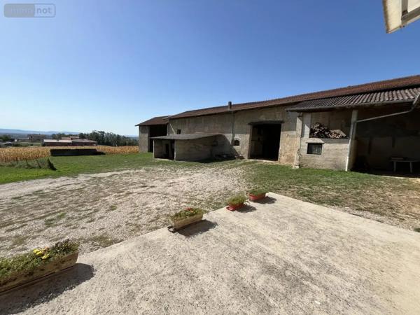 Achat - Maison Villieu-Loyes-Mollon 01800 11 pièces 229 m 2 2785 m 2