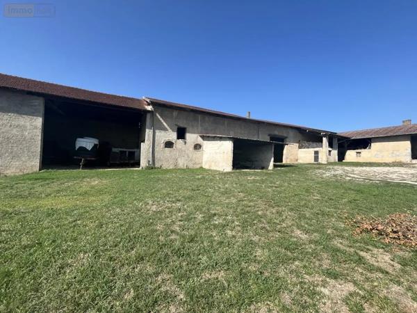 Achat - Maison Villieu-Loyes-Mollon 01800 11 pièces 229 m 2 2785 m 2