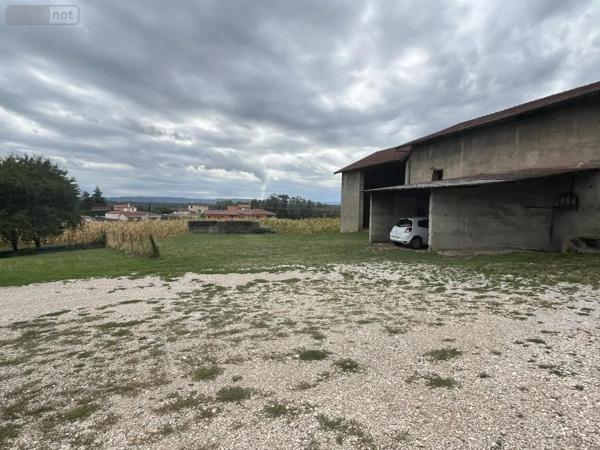 Achat - Maison Villieu-Loyes-Mollon 01800 11 pièces 229 m 2 2785 m 2