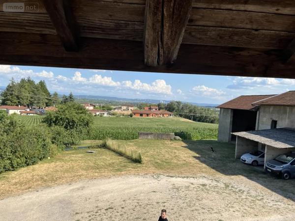 Achat - Maison Villieu-Loyes-Mollon 01800 11 pièces 229 m 2 2785 m 2