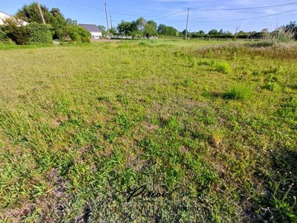 Maison à vendre 6 pièces - Dépendances - 4932 m²