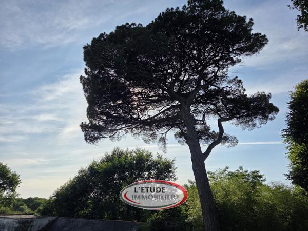 LE PELLERIN : Bien atypique et de charme au calme de son environnement bucolique !