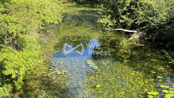 🏡 Villa 4 pièces – 150 m² – Terrain 2 000 m² – Piscine – Potentiel constructible – Saint-Clément-de-Rivière