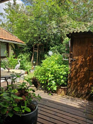 LARGE MAISON FLAMANDE DANS QUARTIER CALME