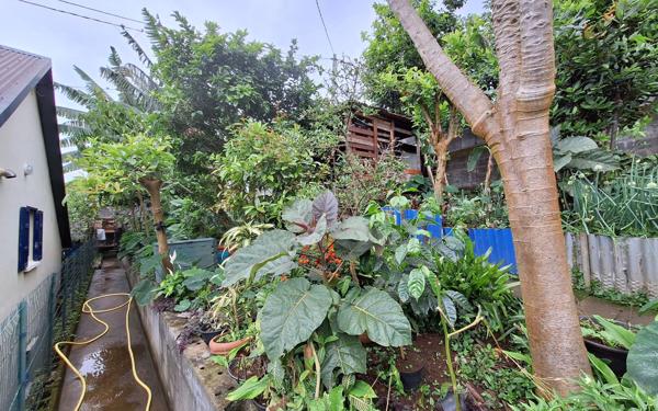 Maison à vendre    9 pièces •  Saint-Leu