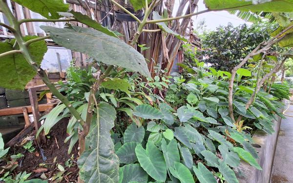 Maison à vendre    9 pièces •  Saint-Leu